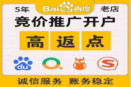 SEM推广案例：电商流量提升策略